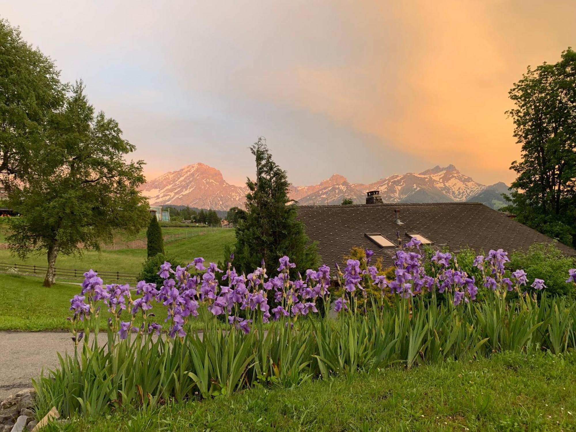 Chalet La Renarde Villars-sur-Ollon Rom bilde