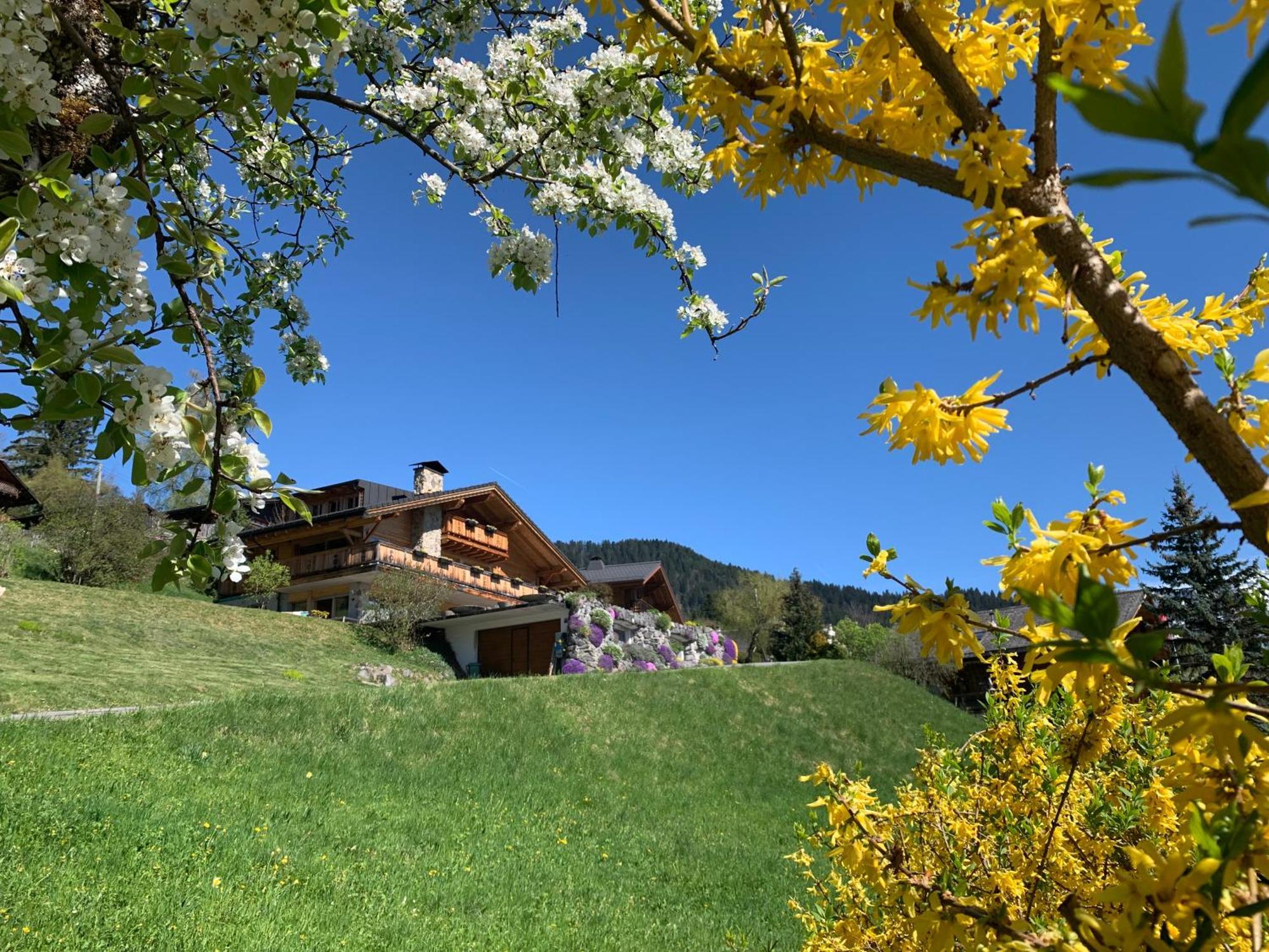 Chalet La Renarde Villars-sur-Ollon Eksteriør bilde
